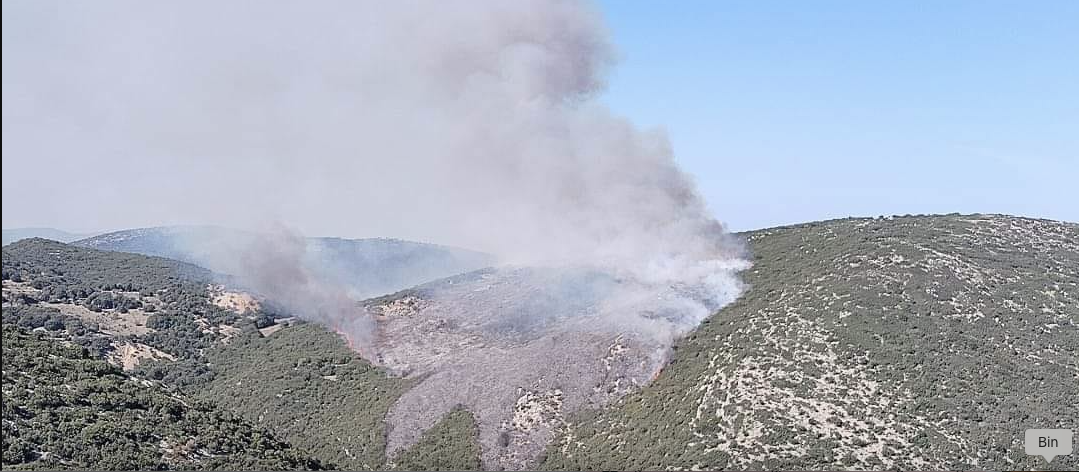 Πυρκαγιά σε δασική έκταση στην Αγία Παρασκευή Πετρωτού Αχαΐας